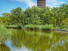 -西海子公园