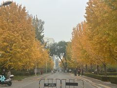 -北京理工大学(中关村校区)