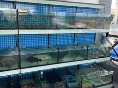 -阿伍海鲜大排档(塔湾金沙店)