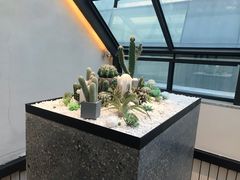 -大树餐厅(红旗街万达店)