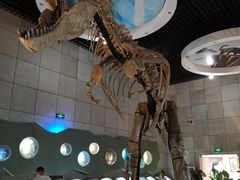 -诸城市恐龙博物馆