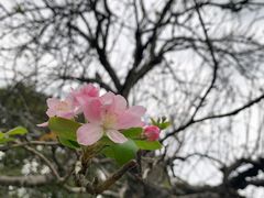 -西湖外事游船(花港观鱼码头)