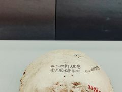 -鄂尔多斯博物馆