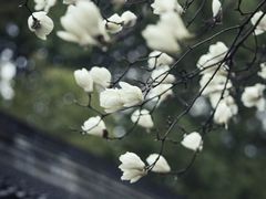 -苏州园林博物馆