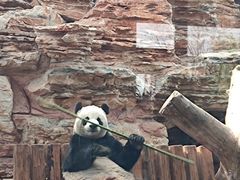 -辛玛王国游乐园