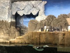 -成都浩海立方海洋公园