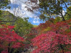 -本溪老边沟风景区