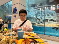 -帝企鹅自助餐厅•儿童岛•真企鹅(长隆企鹅酒店)