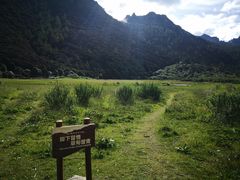 -稻城亚丁景区-冲古草甸
