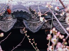 -南京民俗博物馆(甘熙故居)