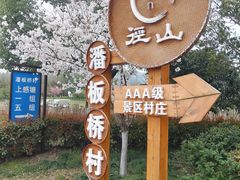 -径山花海
