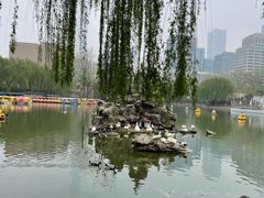 -团结湖公园