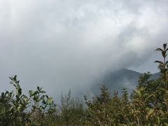 -小五台金河景区