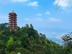-缙云山景区
