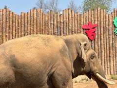 -济南野生动物世界