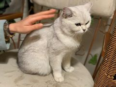 -平行世界·猫咖(首经贸店)