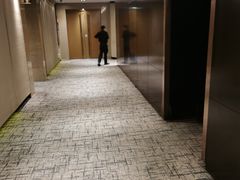 -上海龙之梦万丽酒店