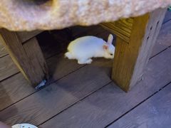 -伴山茶苑·一盏冰茶·半日山居