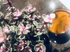 -ZING COFFEE 镜咖啡