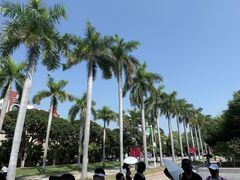 -厦门大学(思明校区)