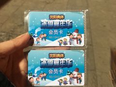 -沈阳奥体冰雪嘉年华
