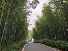 -天目湖涵田半山温泉