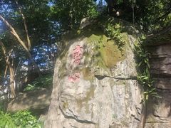-船政文化景区-罗星塔公园