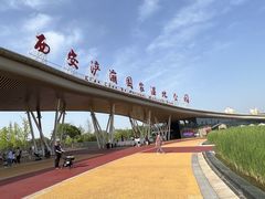 -西安浐灞国家湿地公园