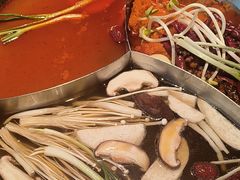 -辣伍鲜毛肚老火锅(元一店)