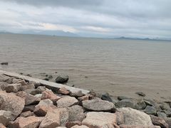 -深圳湾公园(南山区)