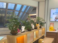 -长风拨筋养身(金虹桥店)