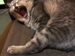 -天使咖啡(兴新街店)