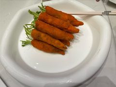 -丁老爷子苏香圆