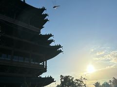 -杭州半山国家森林公园