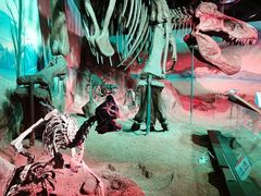 -正佳自然科学博物馆