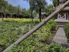 -洛阳白马寺