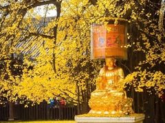-西北轻工批发市场