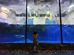 -华夏文旅海洋公园