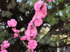 -大连人民广场