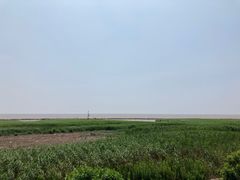 -南汇嘴观海公园