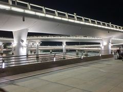 -演武大桥观景平台