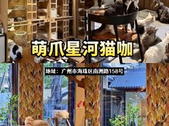 -咖法森林·咖啡  酒吧(天河店)