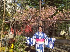 -东京浅草和服体验江户和装工房雅(浅草本店)