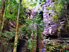 -梭布垭石林景区