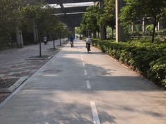 -宝安西湾红树林湿地公园