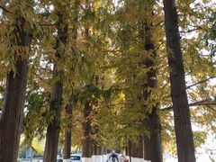 -南通濠河风景名胜区