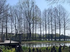 -长广溪湿地公园