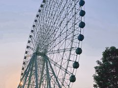 -凤岭儿童公园