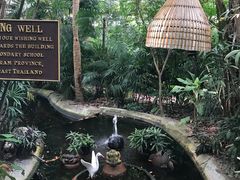-卷心菜和避孕套餐厅(Pattaya)