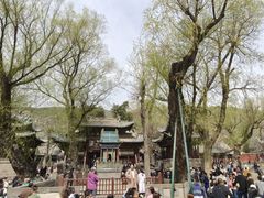 -晋祠公园